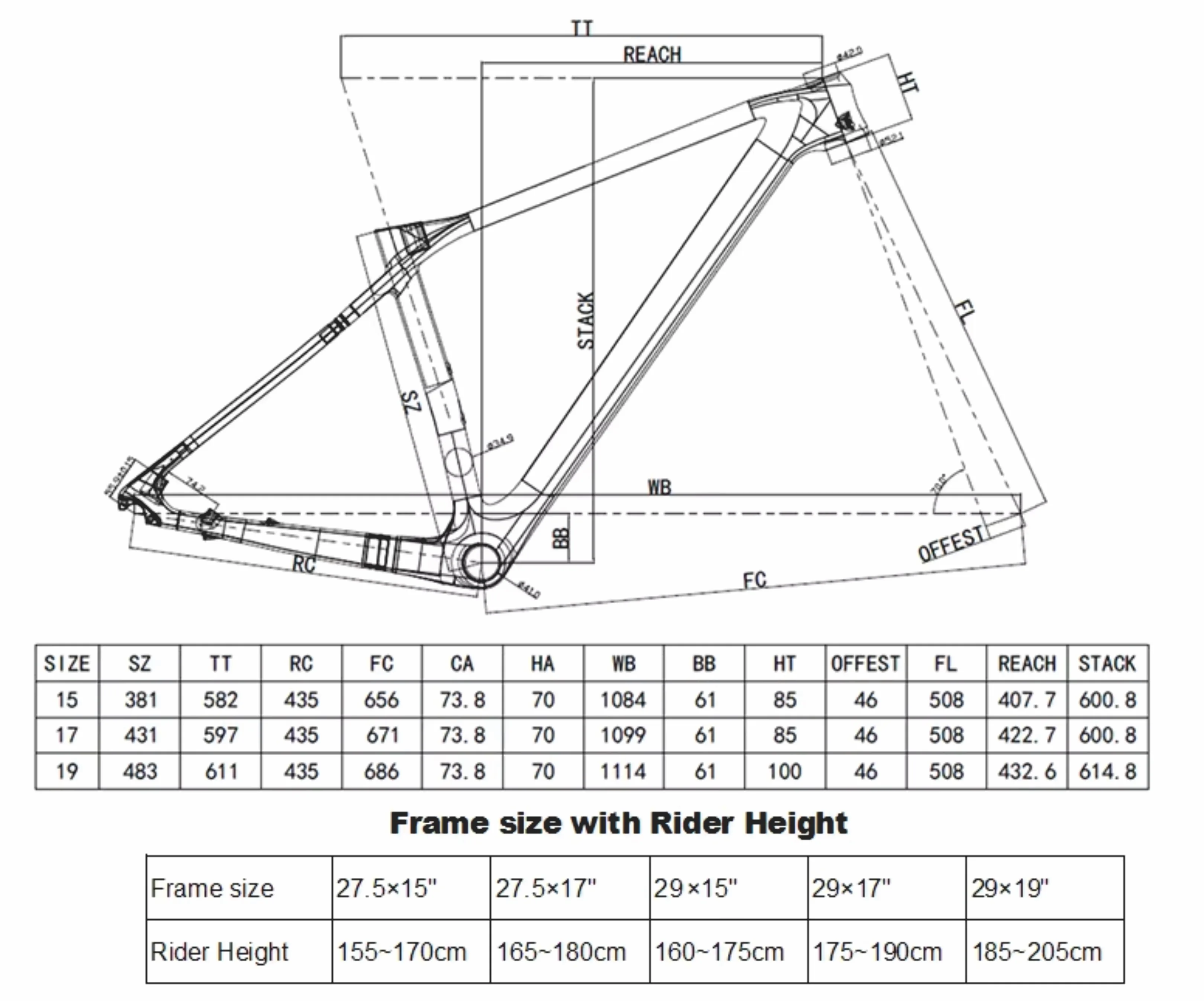 FREE CARBON 11S Multidimensional graph index 3 